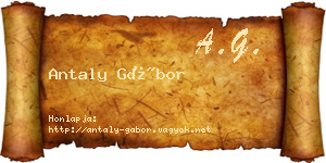 Antaly Gábor névjegykártya